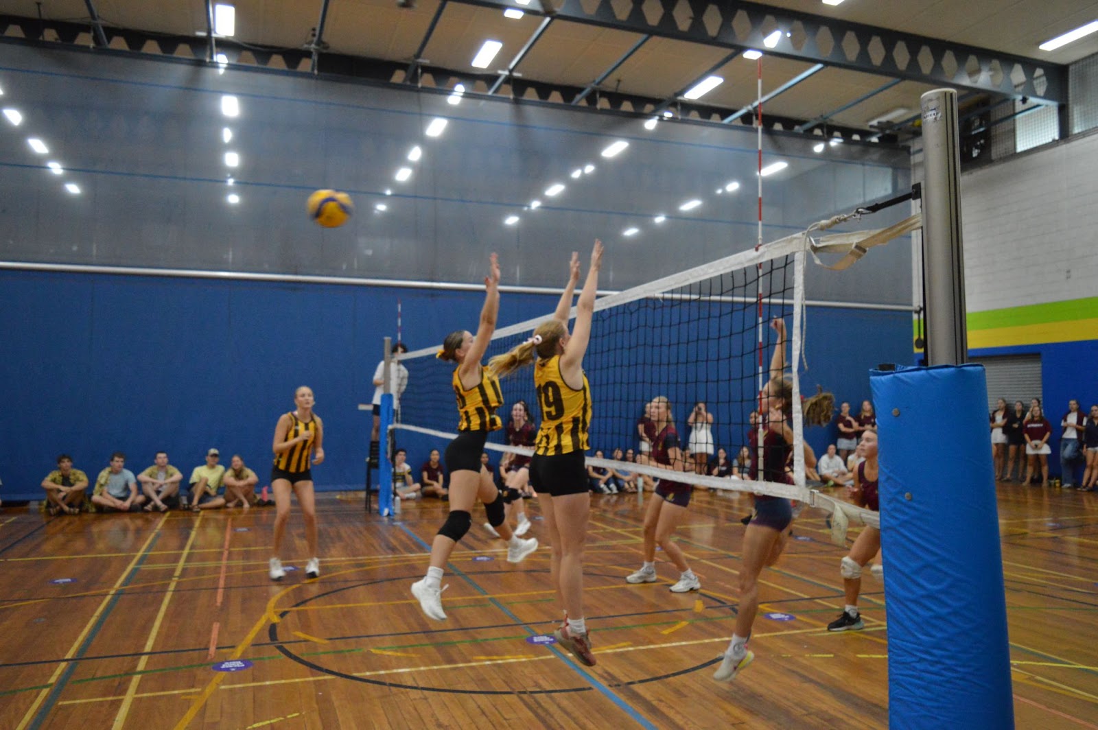 Volleyball players